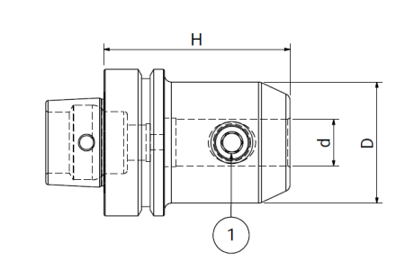 Оправка HSK63/F DIN69893 WELDON H100 D.20