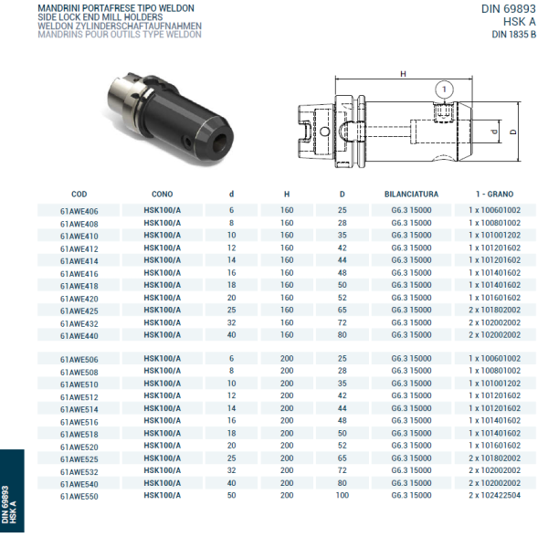 Оправка HSK100/A DIN69893 WELDON H160 D12